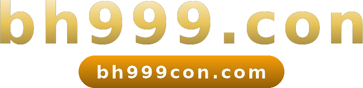 bh999.con logo